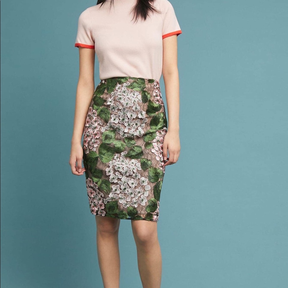Anthropologie skirt! Amazing‼️
